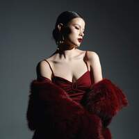 Example 4 - Original image