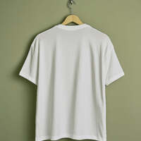 example_figure_2_original_drawing